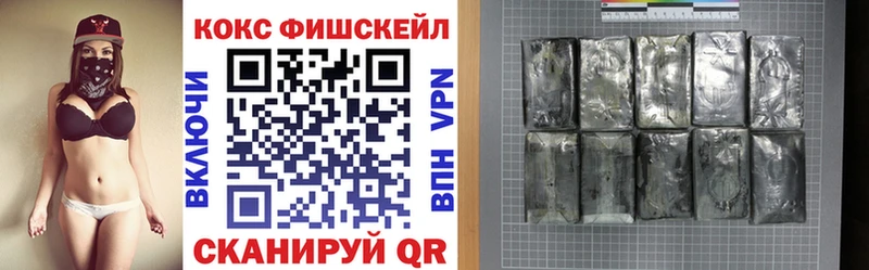 КОКАИН FishScale  купить наркоту  Гдов 
