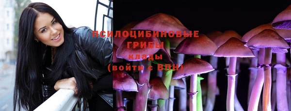 таблы Алзамай