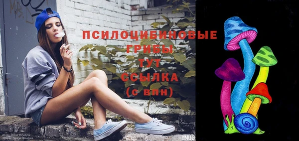 гидра Алексеевка